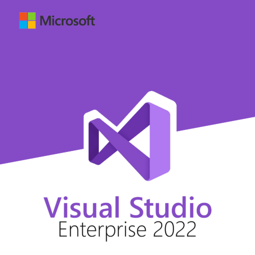 visualstudioent2022